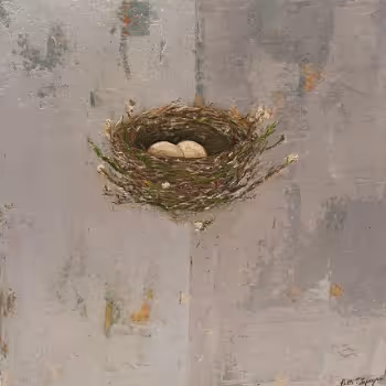 Nests
