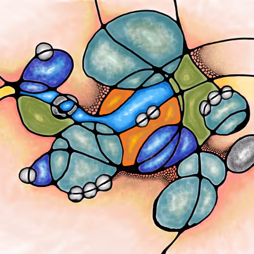Neurographic