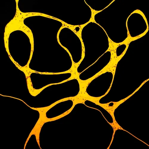 NEURON MIND