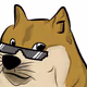 Never ending DOGE - old