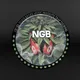 Never Going Broke Coin Collection - old