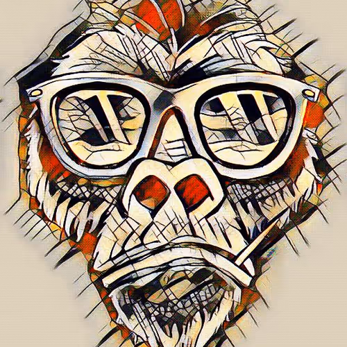 New Monkey Ape Collection