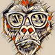 New Monkey Ape Collection