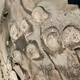new stromatolites found in central chile