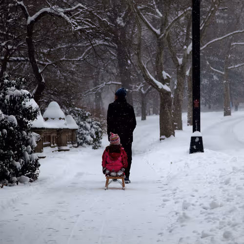 New York Collection - Anderson Salazar