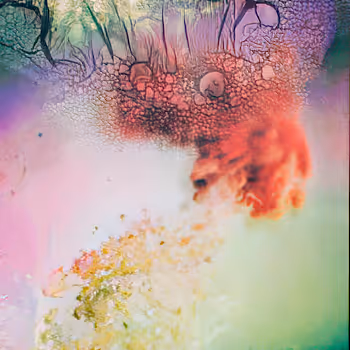 New York Damaged Polaroids - Early 2022 Pt1 by Matthew Schiavello