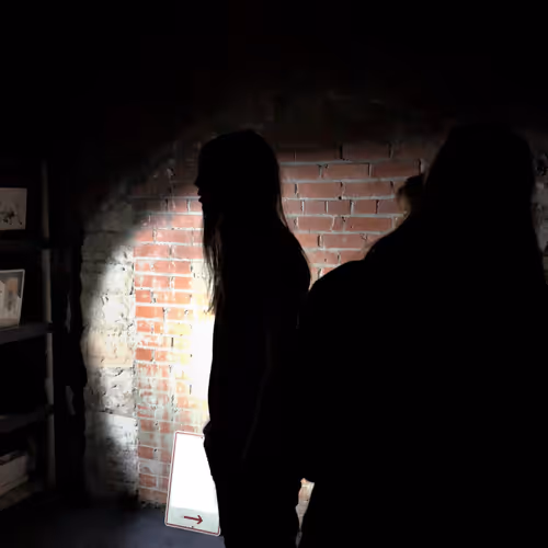 NewLight Lane | The Collection V3 - old
