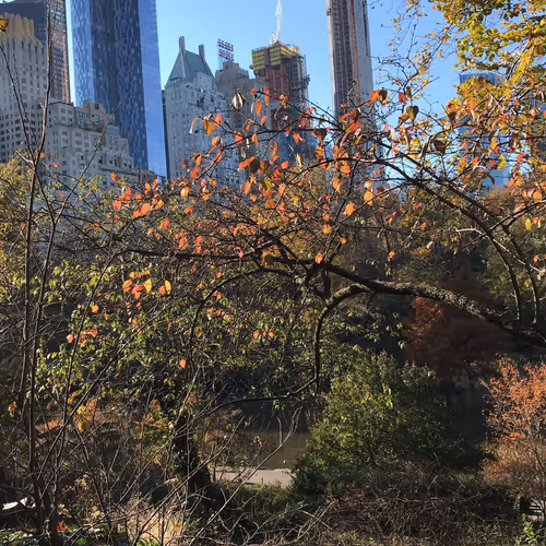 New York City NFTs - IqVPzIJT7g
