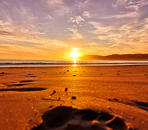 New Zealand Nature Collection - old