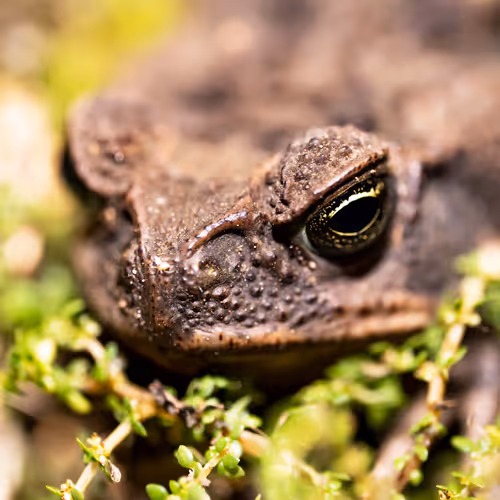 Non Fungible Photography - old