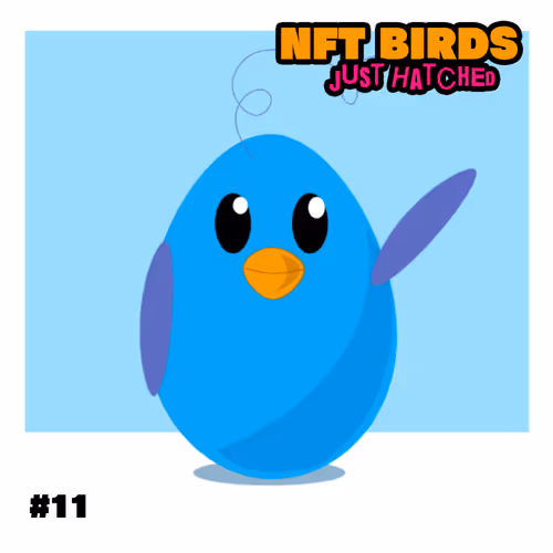 NFT Birds Collection