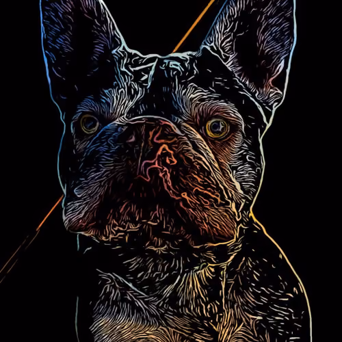 NFT BOREd Frenchie