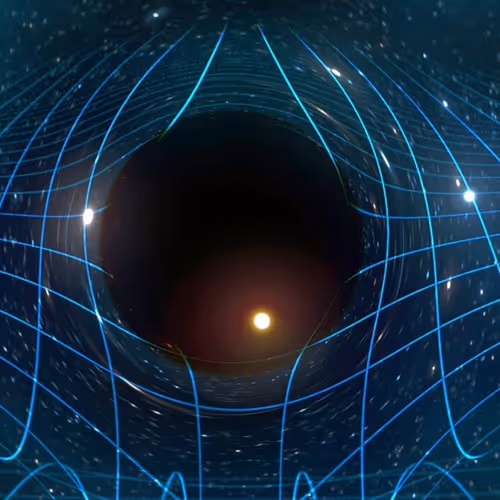 NFT COLLECTION SPACE