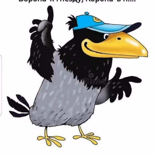 NFT CROW