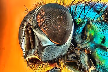 NFT Crypto Domain names - old