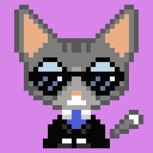 NFT cute pixel cat