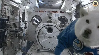 NFT GiF by SATOSHIDick - old