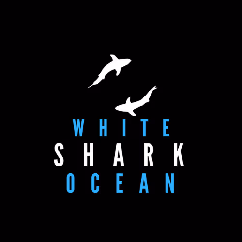 Great White Shark Collection