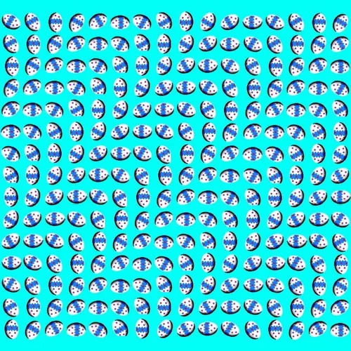 NFT Illusions
