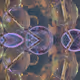 NFT-jewelry