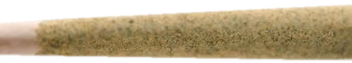 NFT Joint