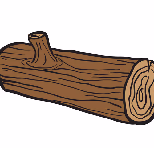 NFT of a log