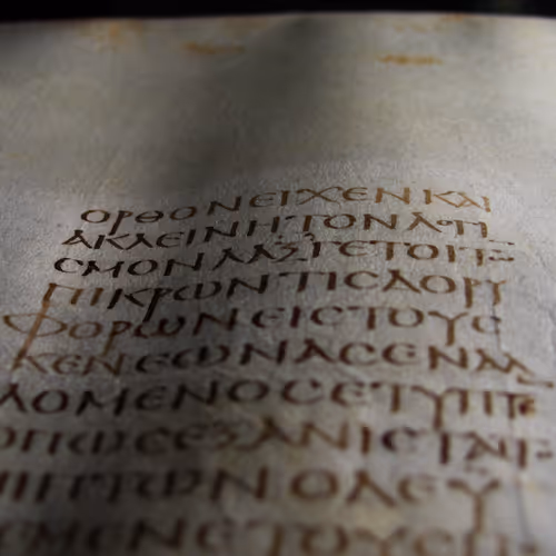 Omega NFT Collection