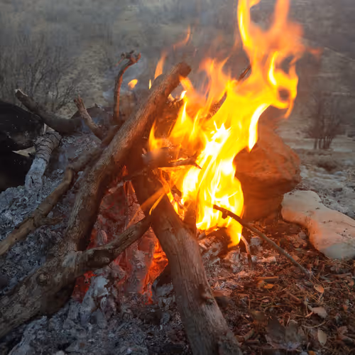 NFT ON Fire