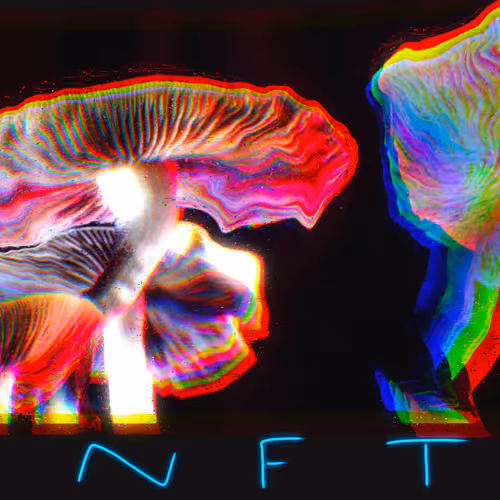 NFT Tripz