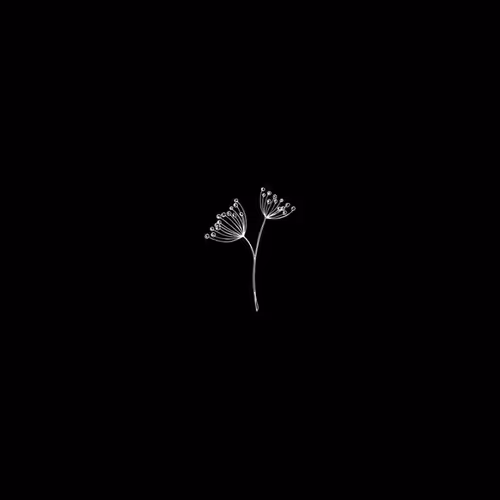 F L O W E R S... - old