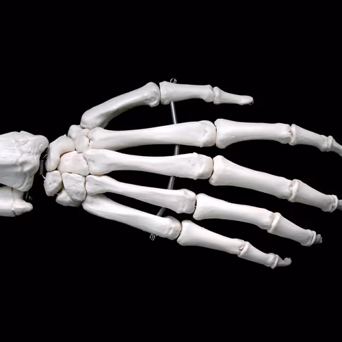 NFToween2021