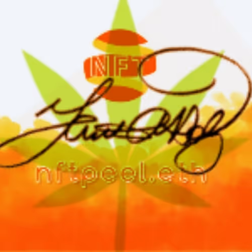 NFT Peel Interview January 28th 2022