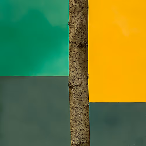 NFTPhotogrphy - old