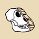 Science Anatomy Ape Club