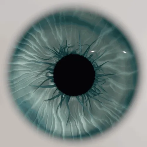 NiftyEyes