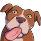 Nigel Emotes - old V2