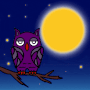 NIGHT OWLS
