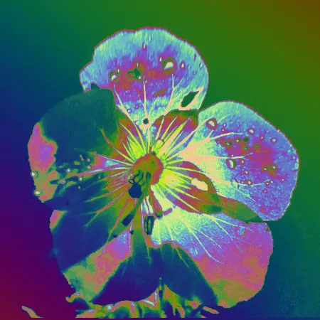 Night Plantinum Hallu