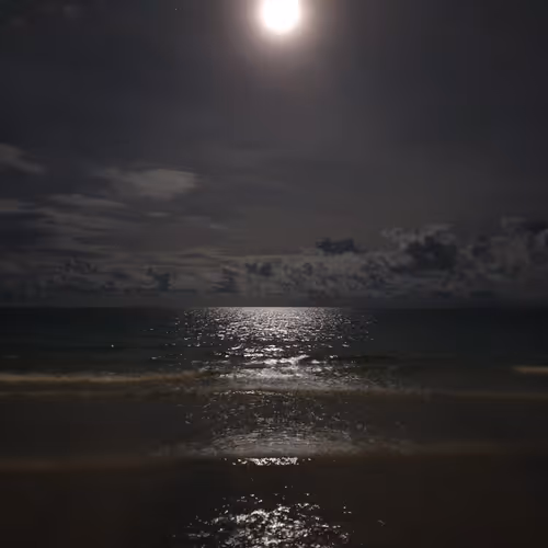 Night sky at a beach