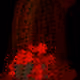 Nightmare#15