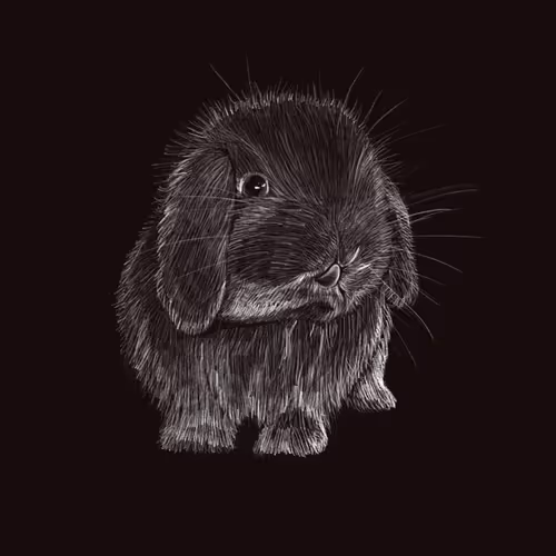 NightRabbit