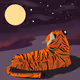 Night Tiger - old