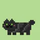 nine-cat