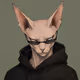 Nine Lives Syndicate