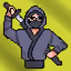 Ninja 2025