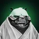 Ninja Hulk
