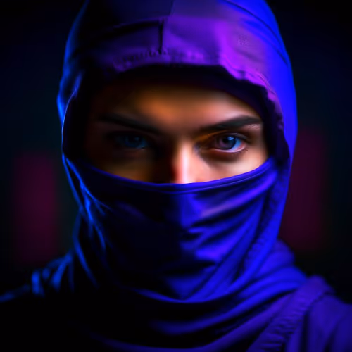 Ninja. Warrior of the night.