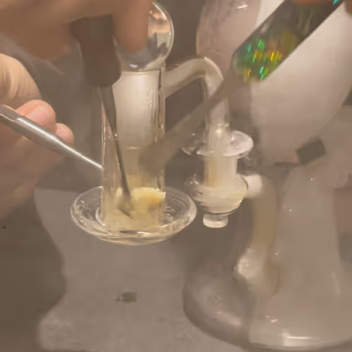 SAMPLE NFT 00000