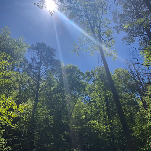 New Jersey is a Beautiful Place