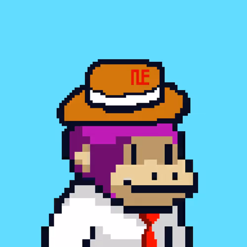 NNE TEST COLLECTION 1